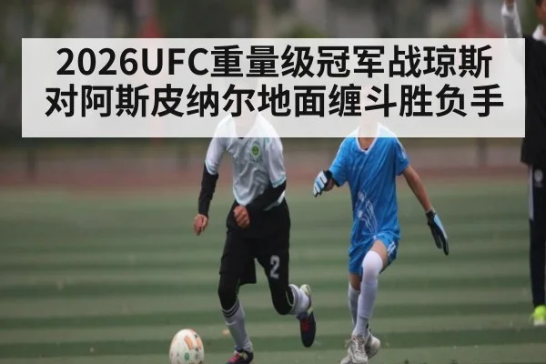 2026UFC重量级冠军战琼斯对阿斯皮纳尔地面缠斗胜负手